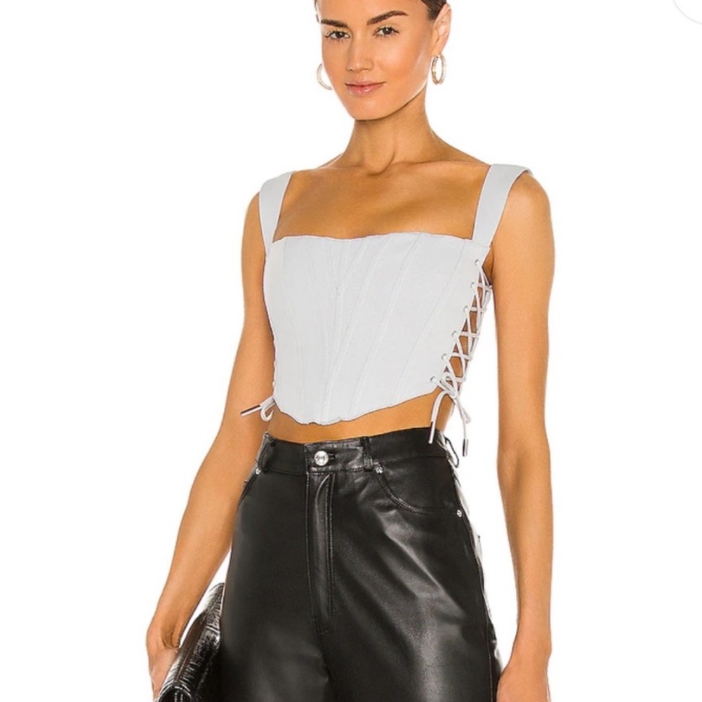 Danielle Guizio Corset